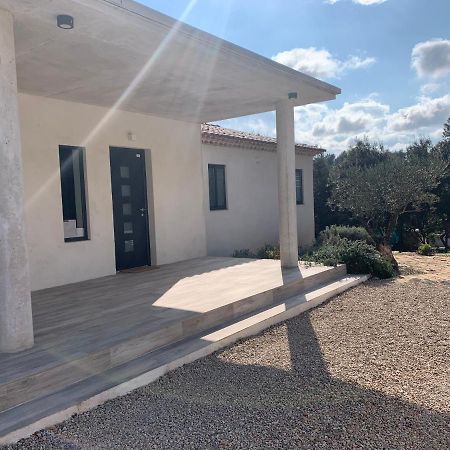 Magnifique Villa Classee 4* Meuble De Tourisme Flassans-sur-Issole Exterior photo